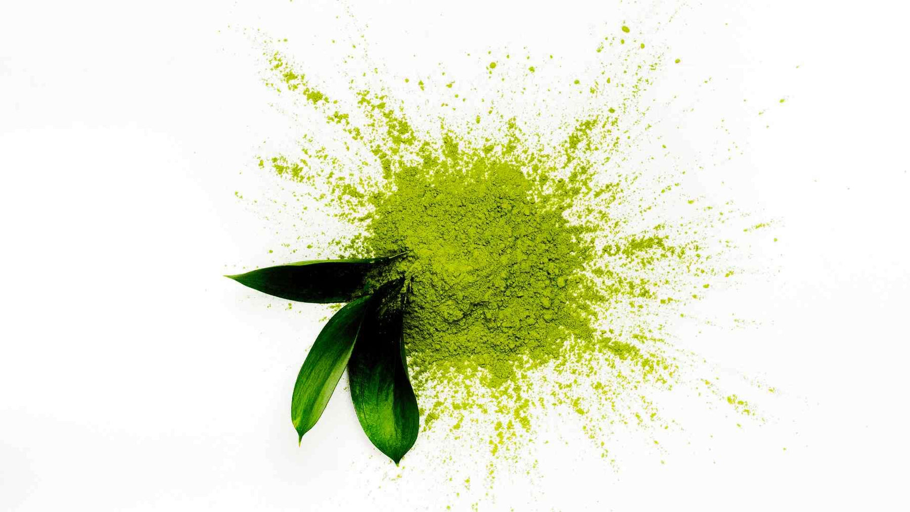 Matcha Madness: Green Tea Powder’s Impact on Concentration in UK