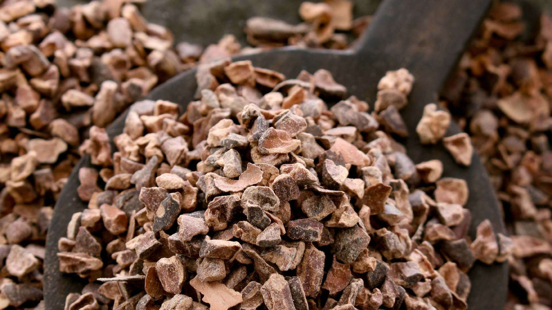 These Cacao Nibs Health Benefits Are Sure to Blow Your Mind